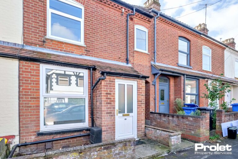 Brick terraced house with porch and white UPCV door
