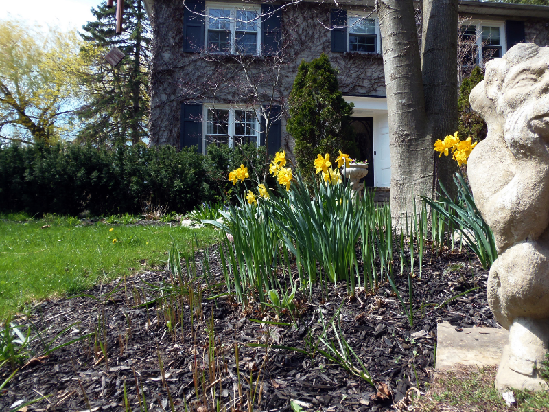 Essential Spring Property Maintenance Tips