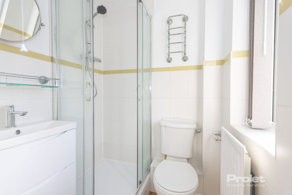 Shower cubicle, toilet, and sink