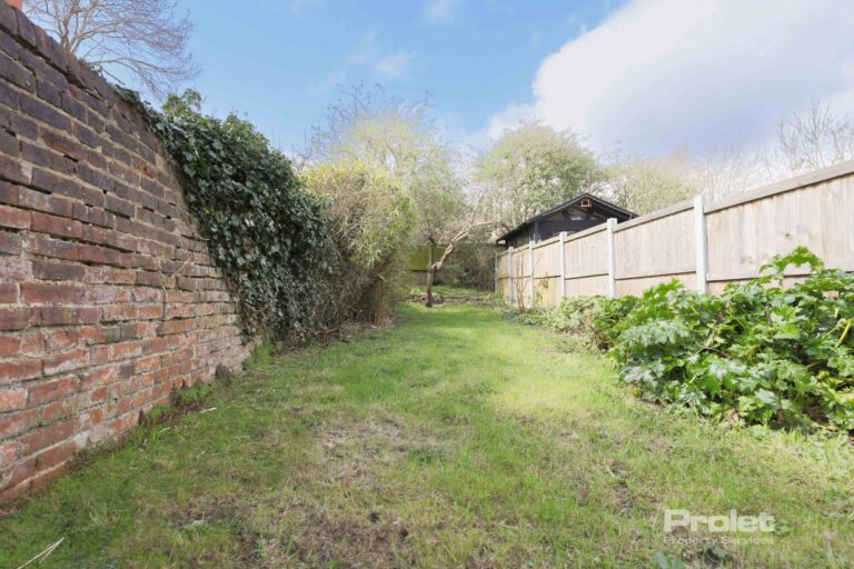 View of rear garden, walled on one side, fenced on the other. Laid to lawn with some small shrubs, and a tree