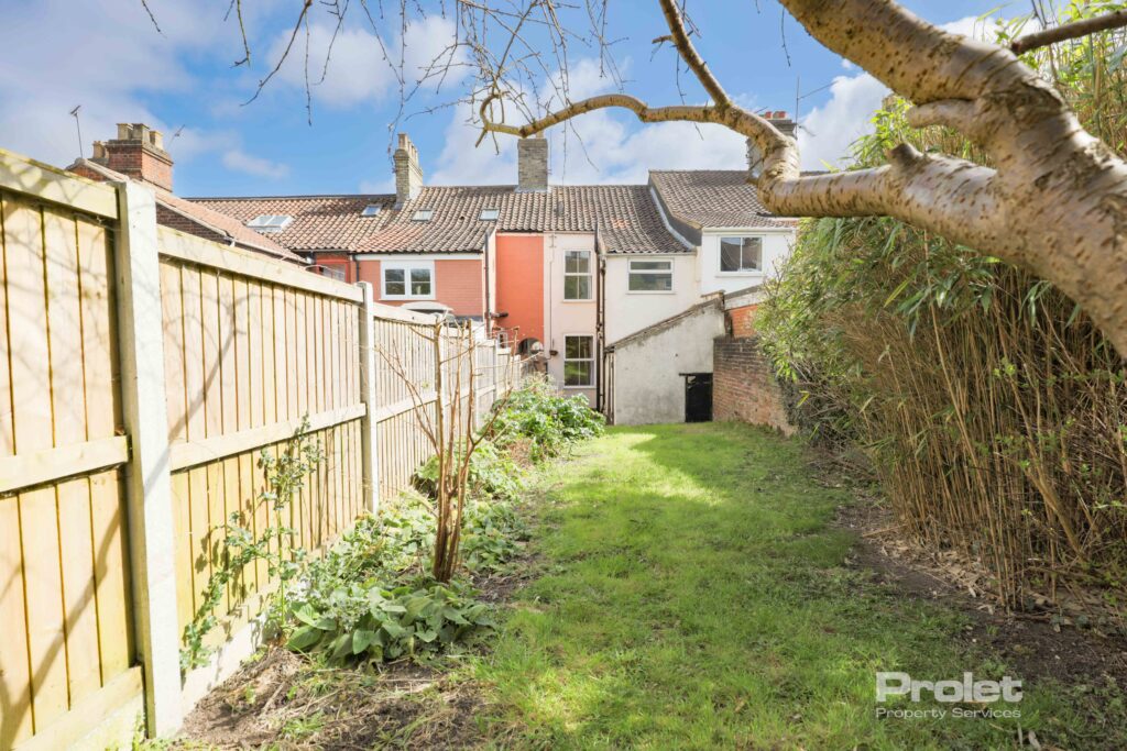 View of rear garden, walled on one side, fenced on the other. Laid to lawn with some small shrubs, and a tree
