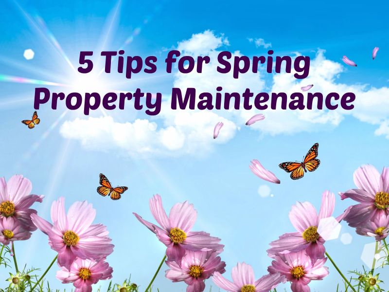 Essential Spring Property Maintenance Tips Prolet