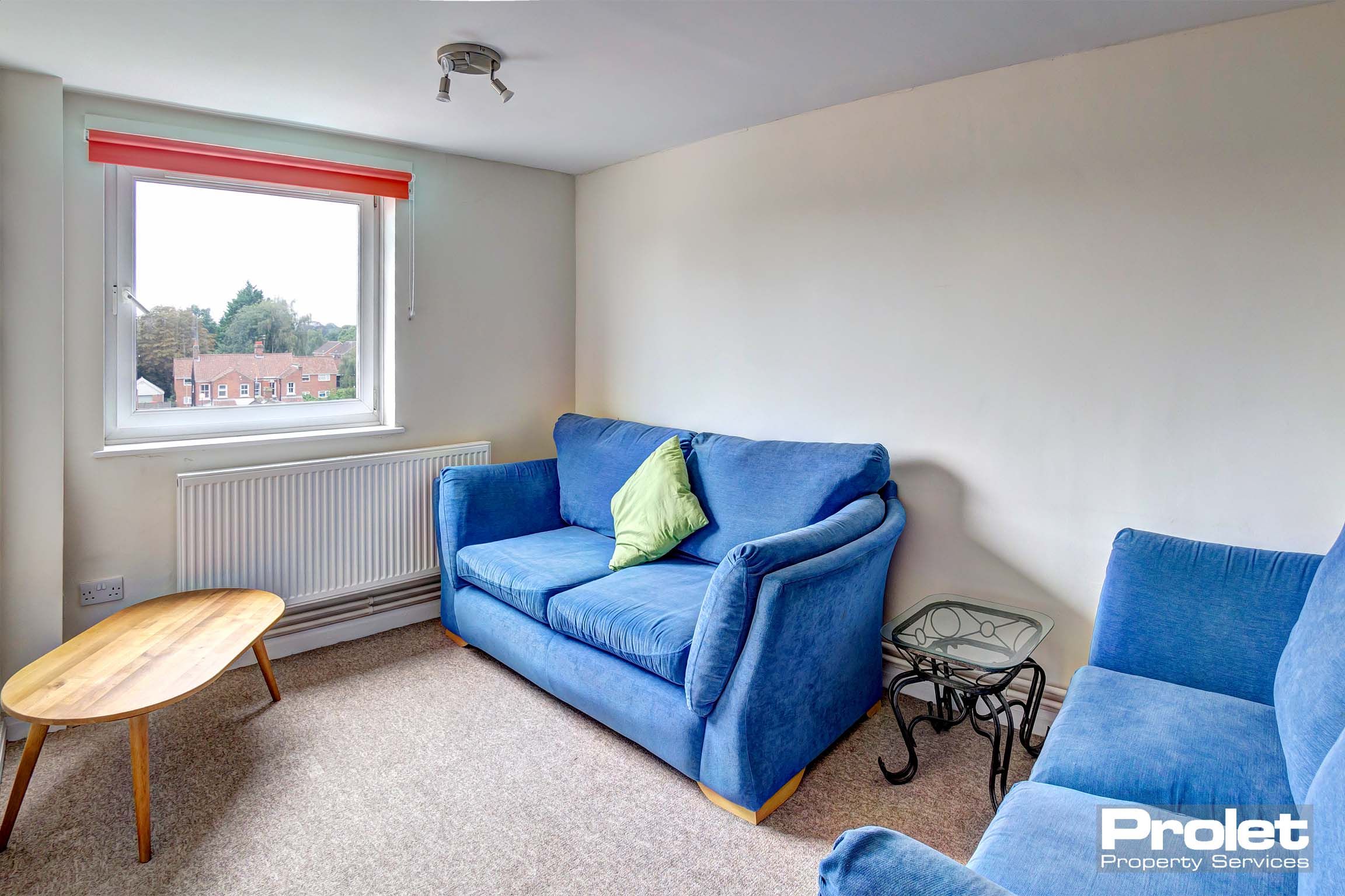 Living room with blue sofas