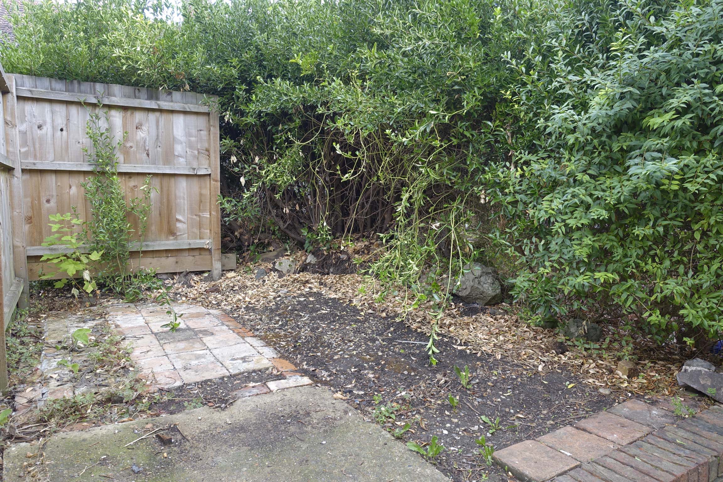 Rear yard