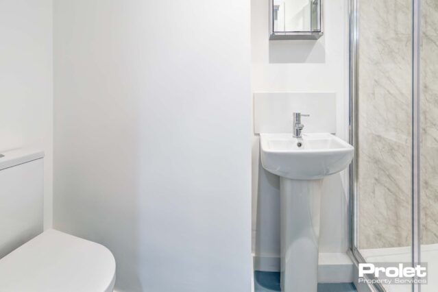 Ensuite bathroom with walk in shower with glass doors, a white toilet and sink.