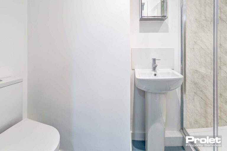 Ensuite bathroom with walk in shower with glass doors, a white toilet and sink.