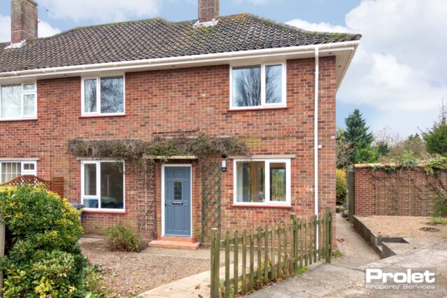 Semi detached brick house with a blue door