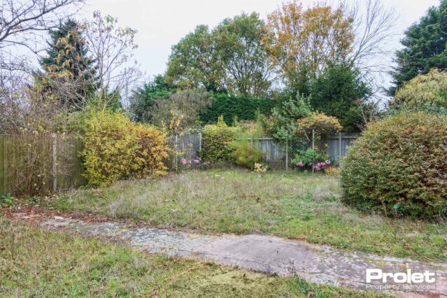 Rear garden laid to lawn with shrubs
