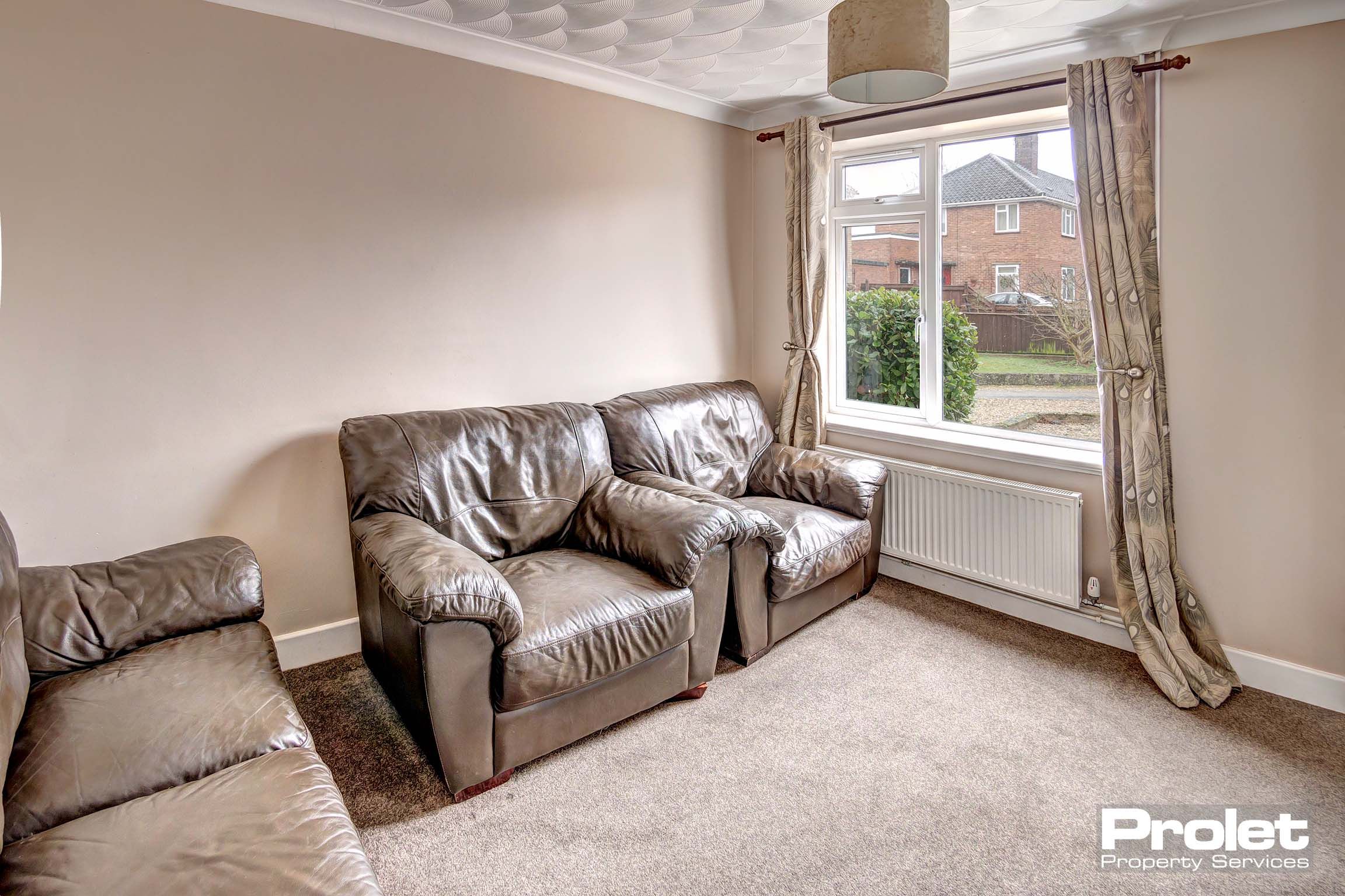 Living room with sofas