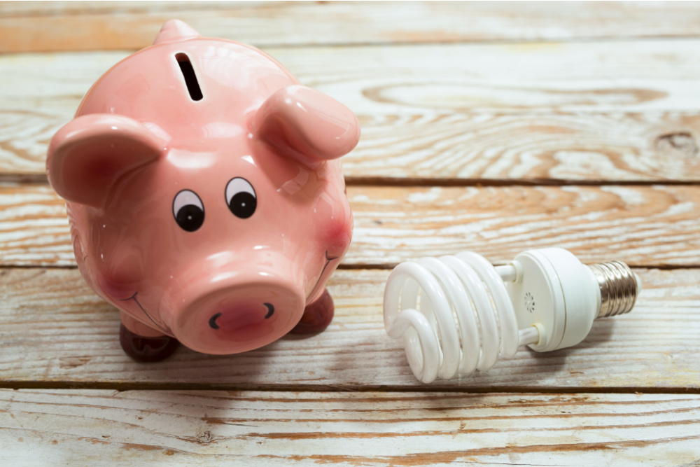 Piggy Bank and Energy Saving Bulb on Wooden Background