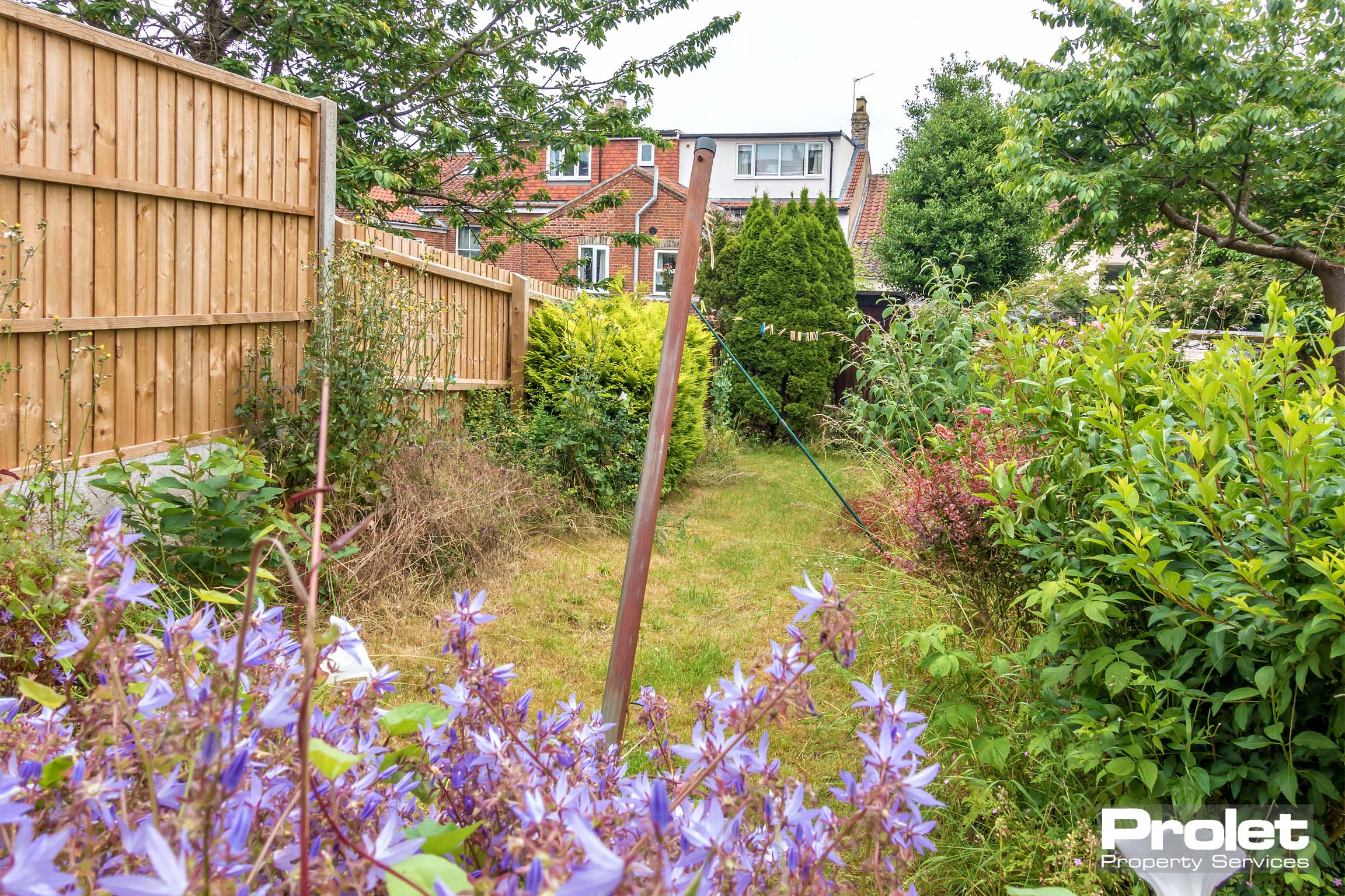 Lawn to rear garden with shed