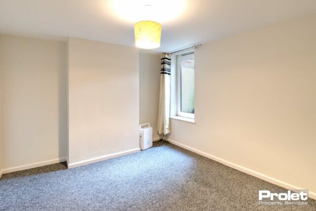 Basement room with white walls and grey carpet