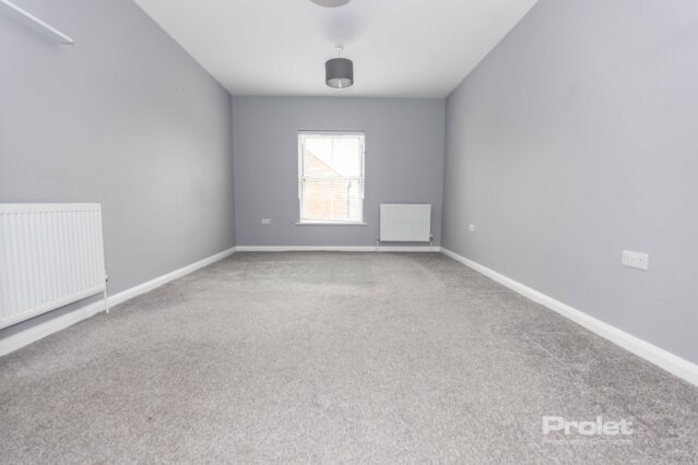 Large double bedroom with grey walls and light carpet.