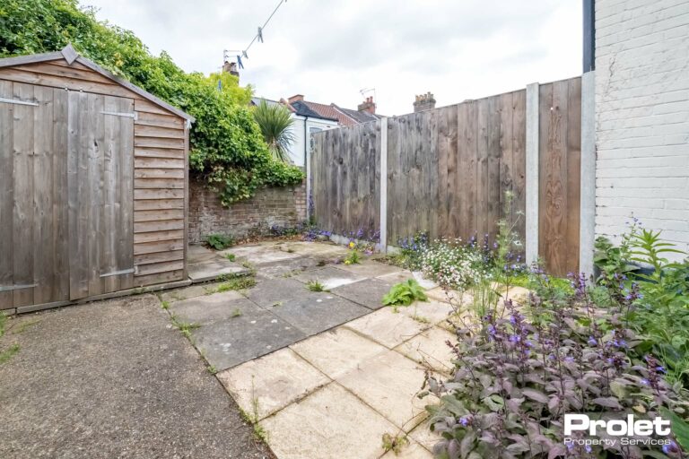 Paved courtyard garden with shed