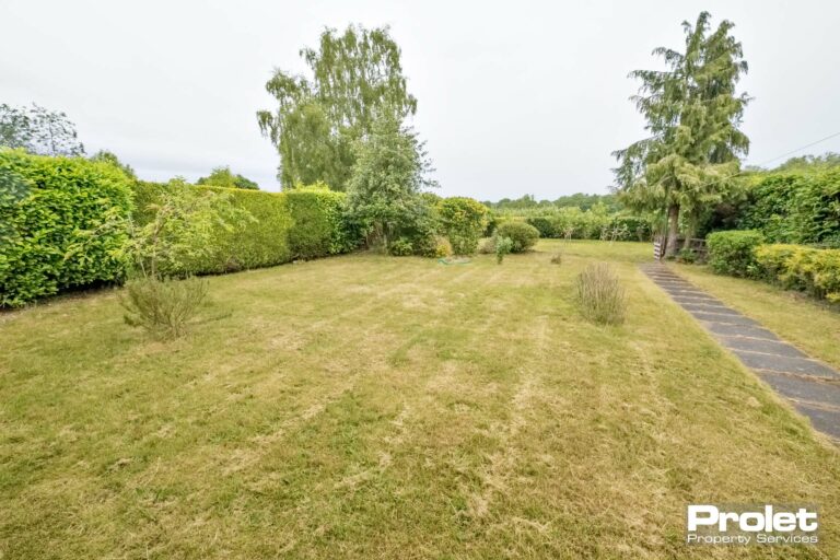 Large rear garden, laid to lawn