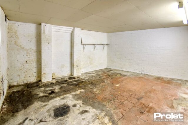 Large cellar with paved floor
