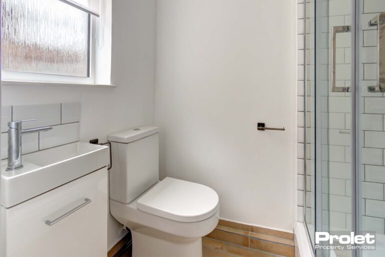 Shower room with toilet and sink