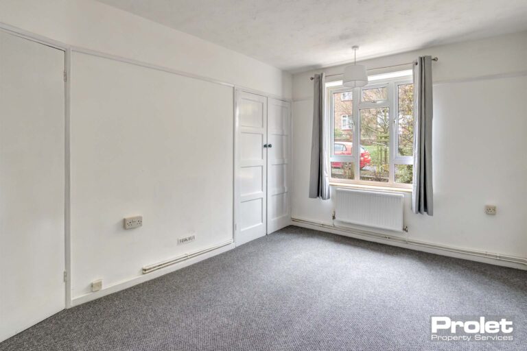 Large room with grey carpets, white walls, storage cupboard and large window