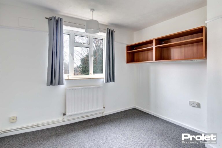 Large room with grey carpets, white walls, storage cupboard, wooden wall unit and large window