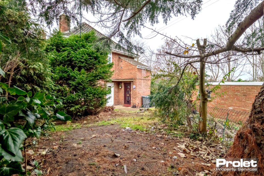 Front garden with soiled area and large trees