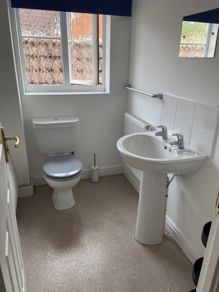 Family bathroom with toilet and sink