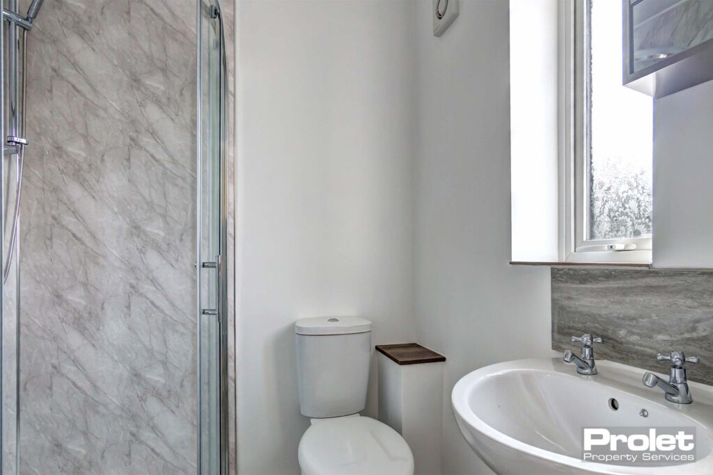 En-suite bathroom with toilet, shower, and sink