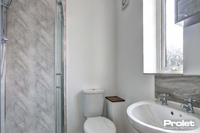 En-suite bathroom with toilet, shower, and sink