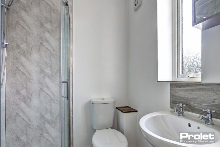 En-suite bathroom with toilet, shower, and sink