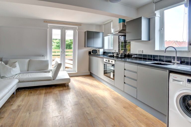 Kitchen/living area with grey cupboards, black worktop, and wooden floors
