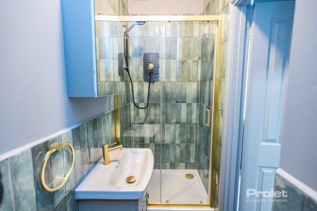 Green wall tiles with white shower suite and brass attachments